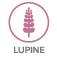 lupine-icon